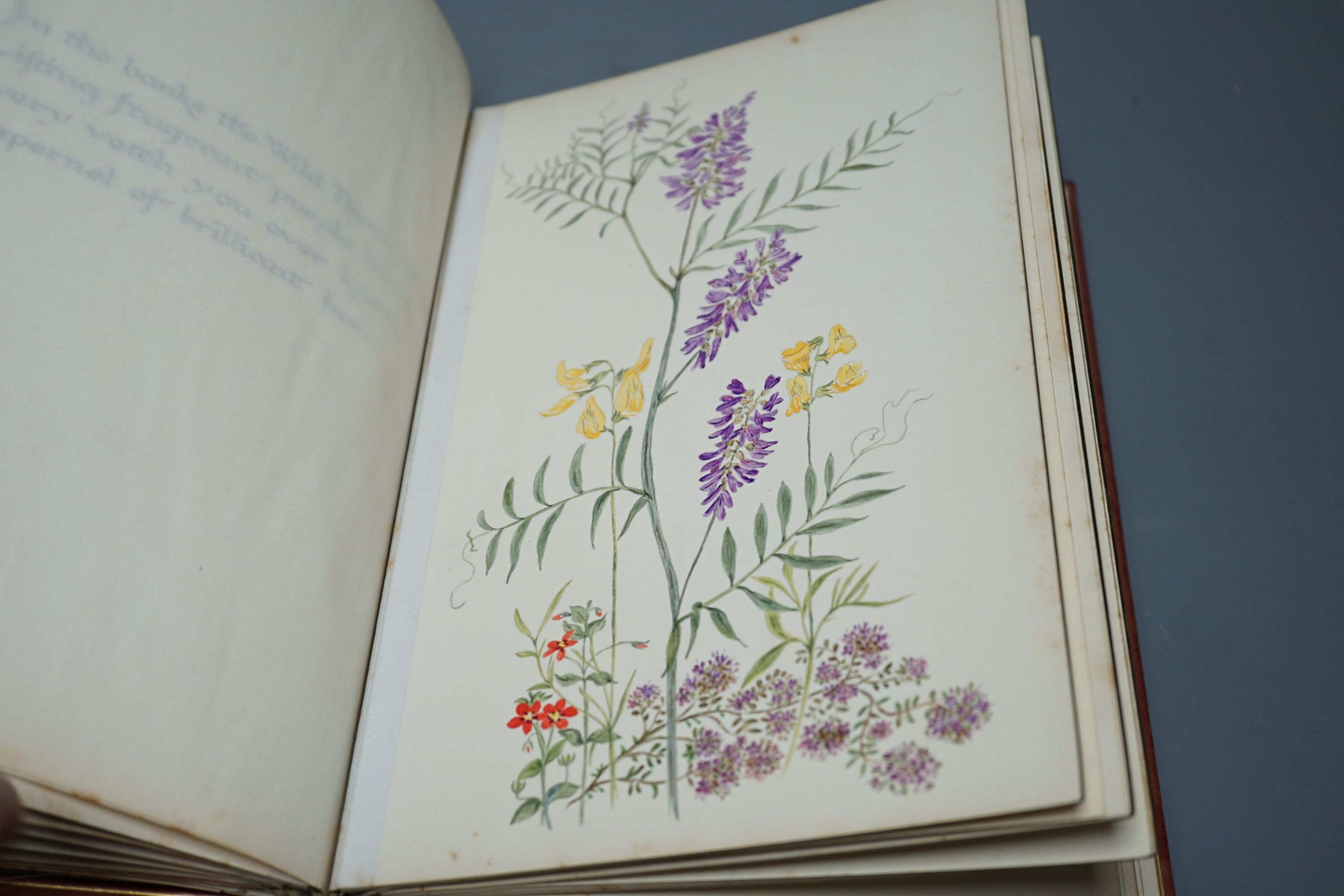 'Everyone’s Garden’, a leather-bound privately produced volume of botanical watercolours with opposing inscribed and illuminated pages